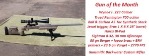 Rifle of the Month1